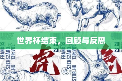 世界杯结束，回顾与反思广西贺州市华昌新材料有限公司