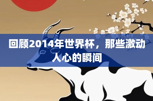回顾20广西贺州市华昌新材料有限公司14年世界杯，那些激动人心的瞬间