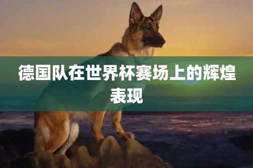 德国队在世界杯赛场上的辉煌表现
