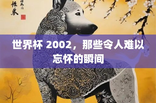 广西贺州市华昌新材料有限公司世界杯 2002，那些令人难以忘怀的瞬间