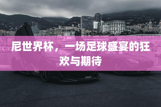 尼世界杯，广西贺州市华昌新材料有限公司一场足球盛宴的狂欢与期待