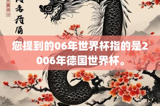 您提到的06年世界杯指的是2006年德国世界杯。广西贺州市华昌新材料有限公司