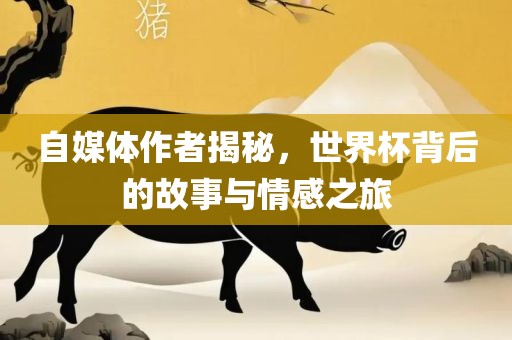 自媒体作者揭秘，世界杯背后的故事与情感之旅广西贺州市华昌新材料有限公司