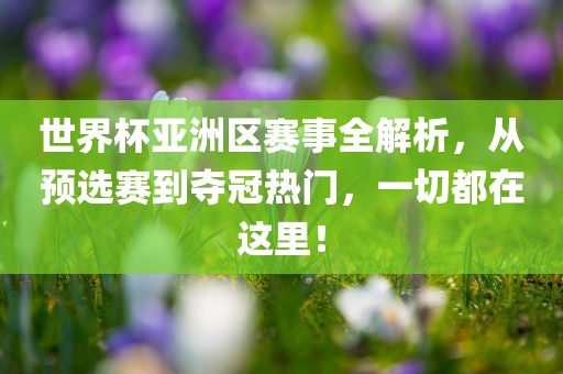 世界杯亚洲区赛事全解析，从预选赛到夺冠热门，一切都在这里！广西贺州市华昌新材料有限公司