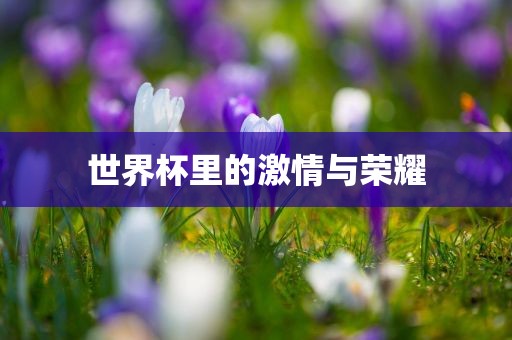 世界杯里的激情与荣耀广西贺州市华昌新材料有限公司