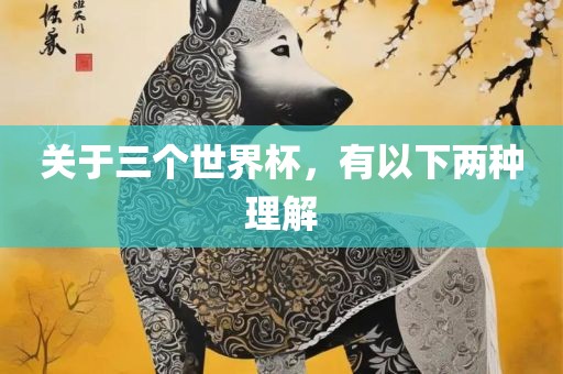 关于三个世界杯，有以下两种理解广西贺州市华昌新材料有限公司