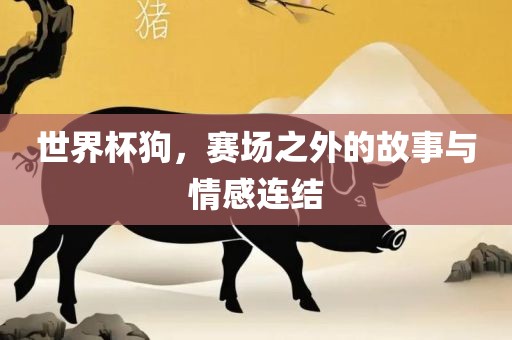 世界杯狗，赛场之外的故事与情感连结广西贺州市华昌新材料有限公司