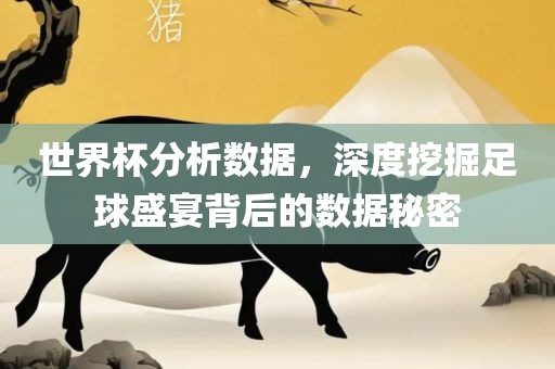 世界杯分析数据，深度挖掘足球盛宴背后的数据秘密广西贺州市华昌新材料有限公司