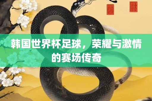 韩国世界杯足球，荣耀与激情的赛场传奇广西贺州市华昌新材料有限公司