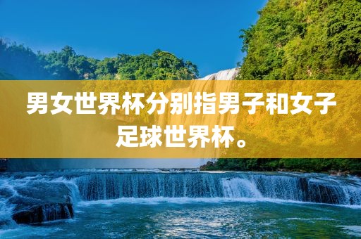 男女世界杯分别指男子和女子足球世界杯。广西贺州市华昌新材料有限公司