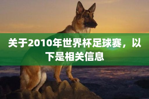 关于2010年世界杯足球赛，以下是相关信息