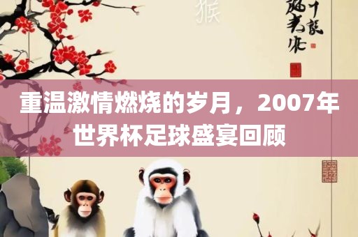 重温激情燃烧的岁月，2007年世界杯足球盛宴回顾广西贺州市华昌新材料有限公司