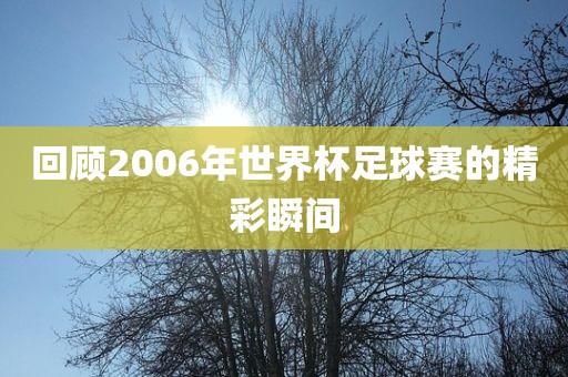 回顾2006年世界杯足球赛的精彩瞬间