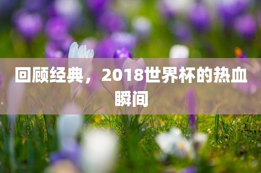回顾经典，2018世界杯的热血瞬间广西贺州市华昌新材料有限公司