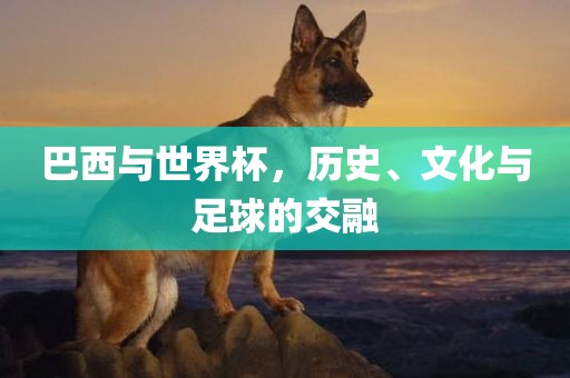 巴西与世界杯，历史、文化与足球的交融