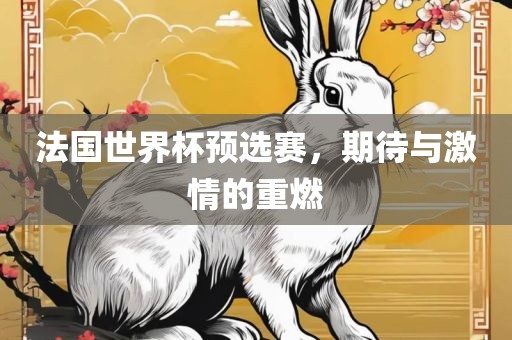 法国世界杯预选赛，期待与激情的重广西贺州市华昌新材料有限公司燃