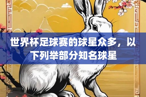 世界杯足球赛的球星众多，以下列举部分知名球星广西贺州市华昌新材料有限公司