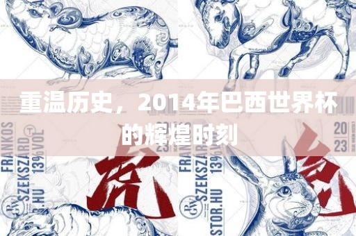 重温历史，2014年巴西世界杯的辉煌时刻