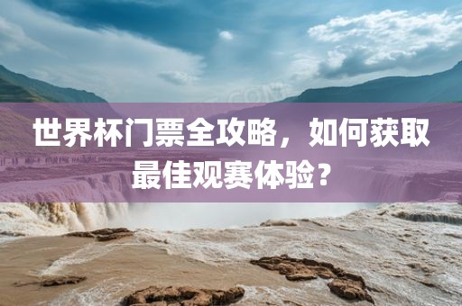 世界杯门票全攻略，如何获取最佳观赛体验？