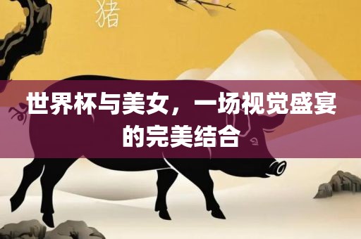 世界杯与美女，一场视觉盛宴的完美结合