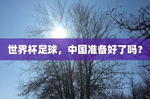 世界杯足球，中国准备好了吗？