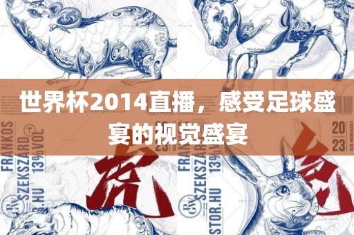 世界杯2014直播，感受足球盛宴的视觉盛宴