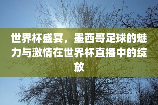 世界杯盛宴，墨西哥足球的魅力与激情在世界杯直播中的绽放