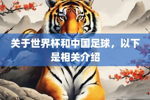 关于世界杯和中国足球，以下是相关介绍