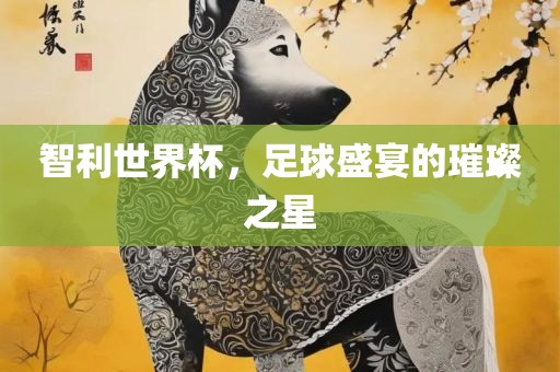 智广西贺州市华昌新材料有限公司利世界杯，足球盛宴的璀璨之星
