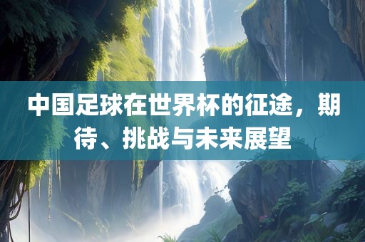 中国足球在世界杯的征途，期待、挑战与未来展望广西贺州市华昌新材料有限公司