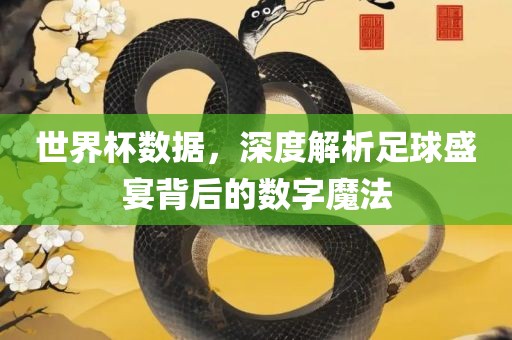 世界杯数据，深度解析足球盛宴背后的数字魔法