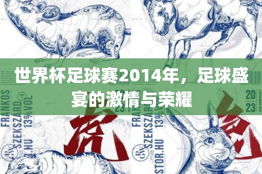 世界杯足球赛2014年，足球盛宴的激情与荣耀