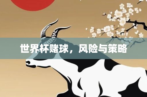 世界杯赌球，风险与策略