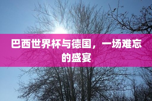 巴西世界杯与德国，一场难忘的盛宴