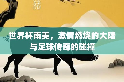 世界杯南美，激情燃烧的大陆与足球传奇的碰撞