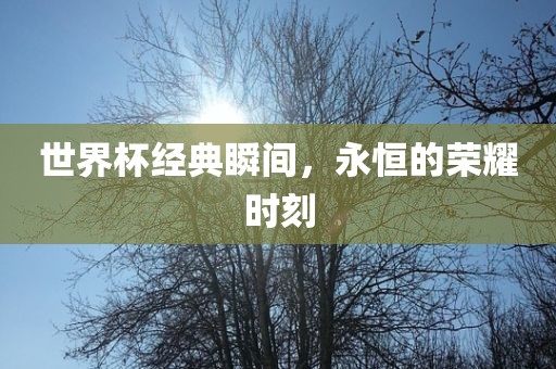 世界杯经典瞬间，永恒的荣耀时刻广西贺州市华昌新材料有限公司