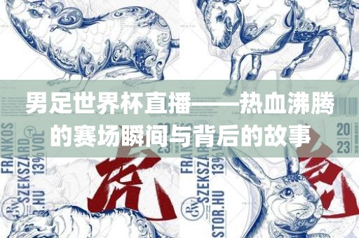 男足世界杯直播——热血沸腾的赛场瞬间与背后的故事