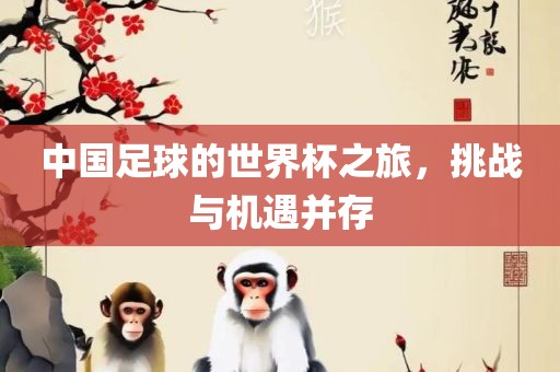 中国足球的世界杯之旅，挑战与机遇并存
