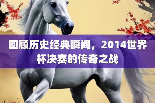 回顾历史经典瞬间，2014世界杯决赛的传奇之战广西贺州市华昌新材料有限公司