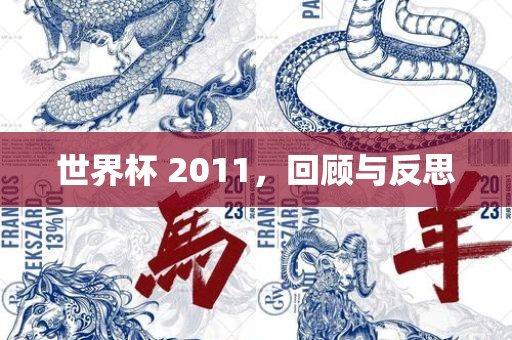 世界杯 2011，回顾与反思