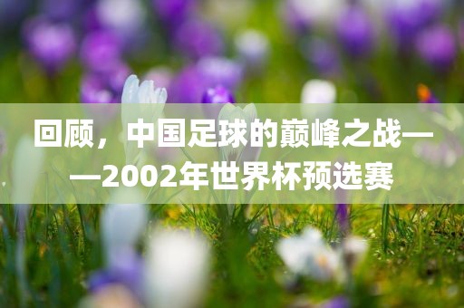 回顾，中国足球的巅峰之战——2002年世界杯预选赛