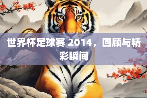 世界杯足球赛 2014，回顾与精彩瞬间
