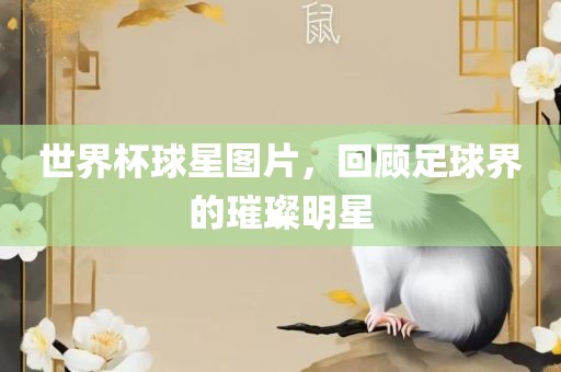 世界杯球星图片，回顾足球界的璀璨明星
