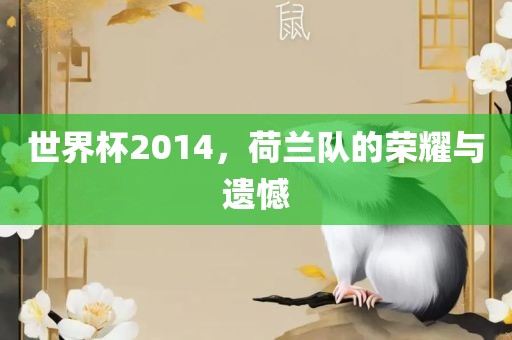世界杯2014，荷兰队的荣耀与遗憾
