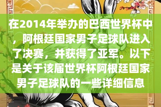 在2014年举办的巴西世界杯中，阿根廷国家男子足球队进入了决赛，并获得了亚军。以下是关于该届世界杯阿根廷国家男子足球队的一些详细信息
