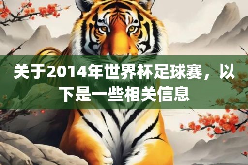 关于2014年世界杯足球赛，以下是一些相关信息