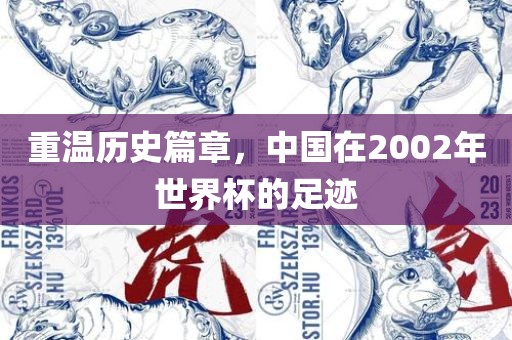 重温历史篇章，中国在2002年世界杯的足迹