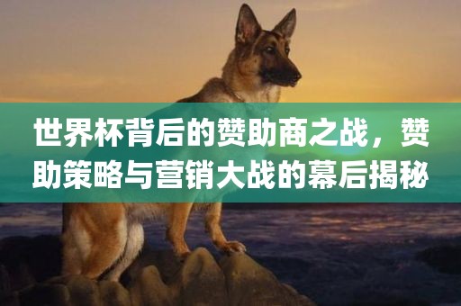 世界杯背后的赞助商之战，赞助策略与营销大战的幕后揭秘