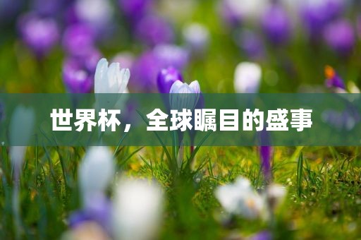 世界杯，全球瞩目的盛事