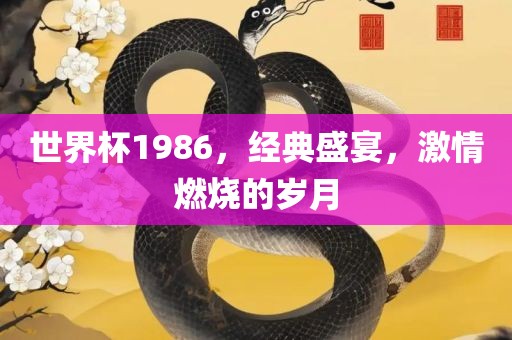 世界杯1986，经典盛宴，激情燃烧的岁月